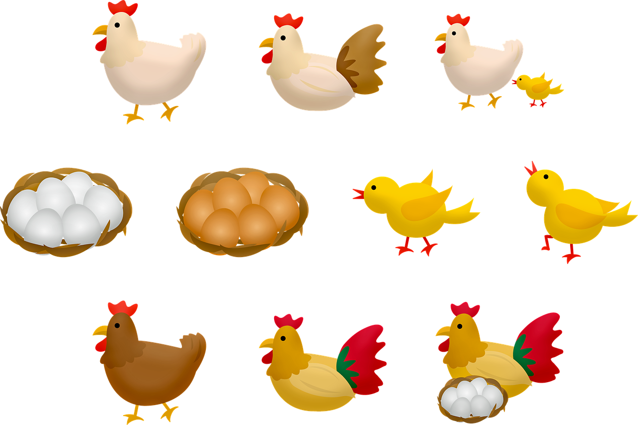 a bunch of chickens and eggs on a black background, an illustration of, by Ingrida Kadaka, pixabay, mingei, tileset asset store, icon pack, on a farm, no gradients