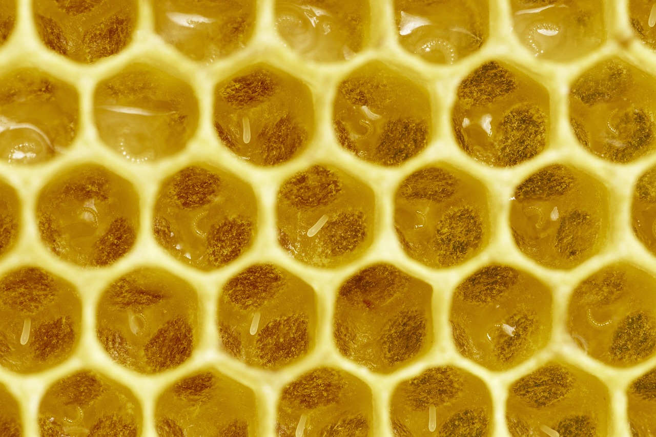 a close up of the inside of a beehive, a microscopic photo, by Dietmar Damerau, shutterstock, art nouveau, seamless texture, high detail product photo, lemonade, close-up product photo