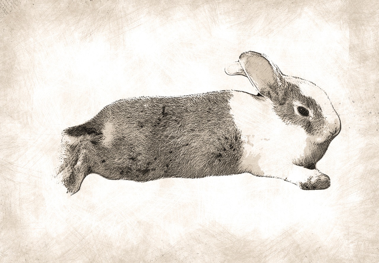 a black and white drawing of a rabbit, an illustration of, inspired by Théophile Steinlen, trending on pixabay, furry art, rough color pencil illustration, lying on back, enhanced photo, grungy