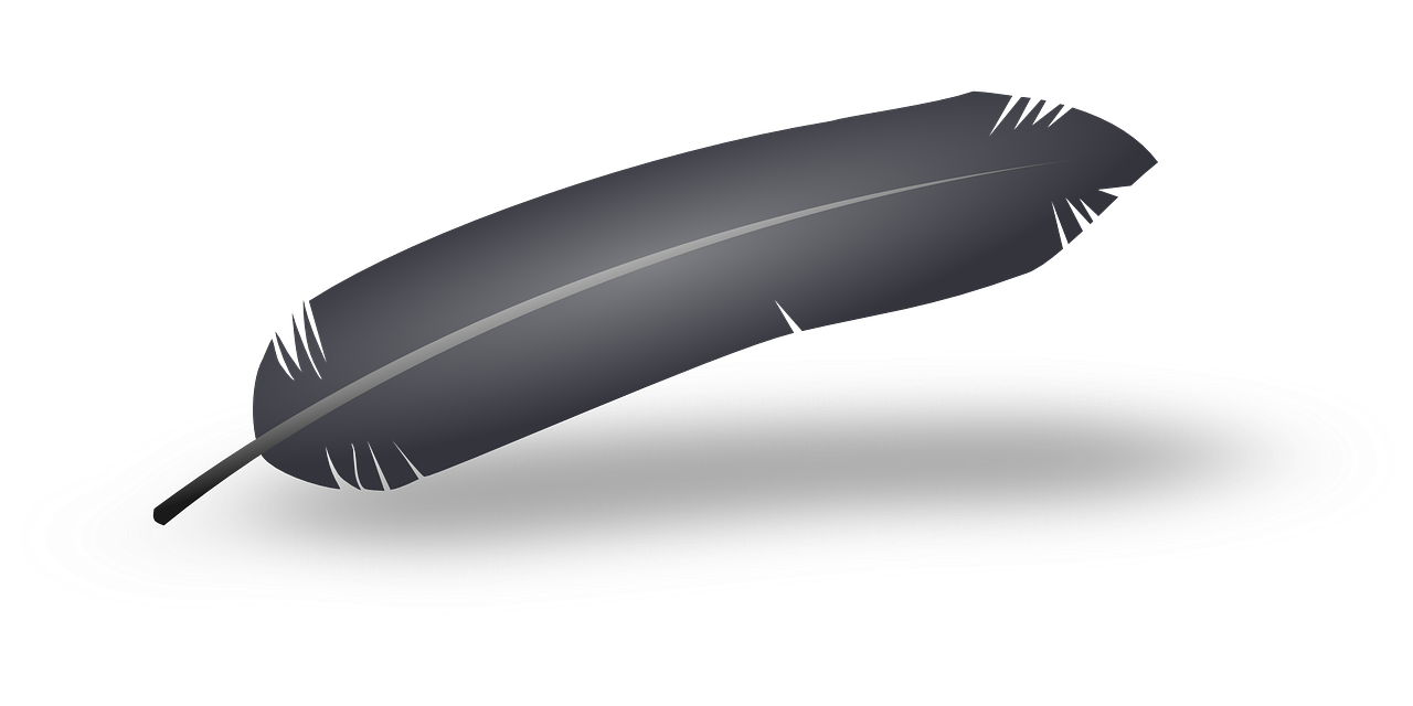 a close up of a shoe with a feather on it, inspired by Slava Raškaj, polycount, hurufiyya, black backround. inkscape, a folding knife, smooth oval head, solid gray