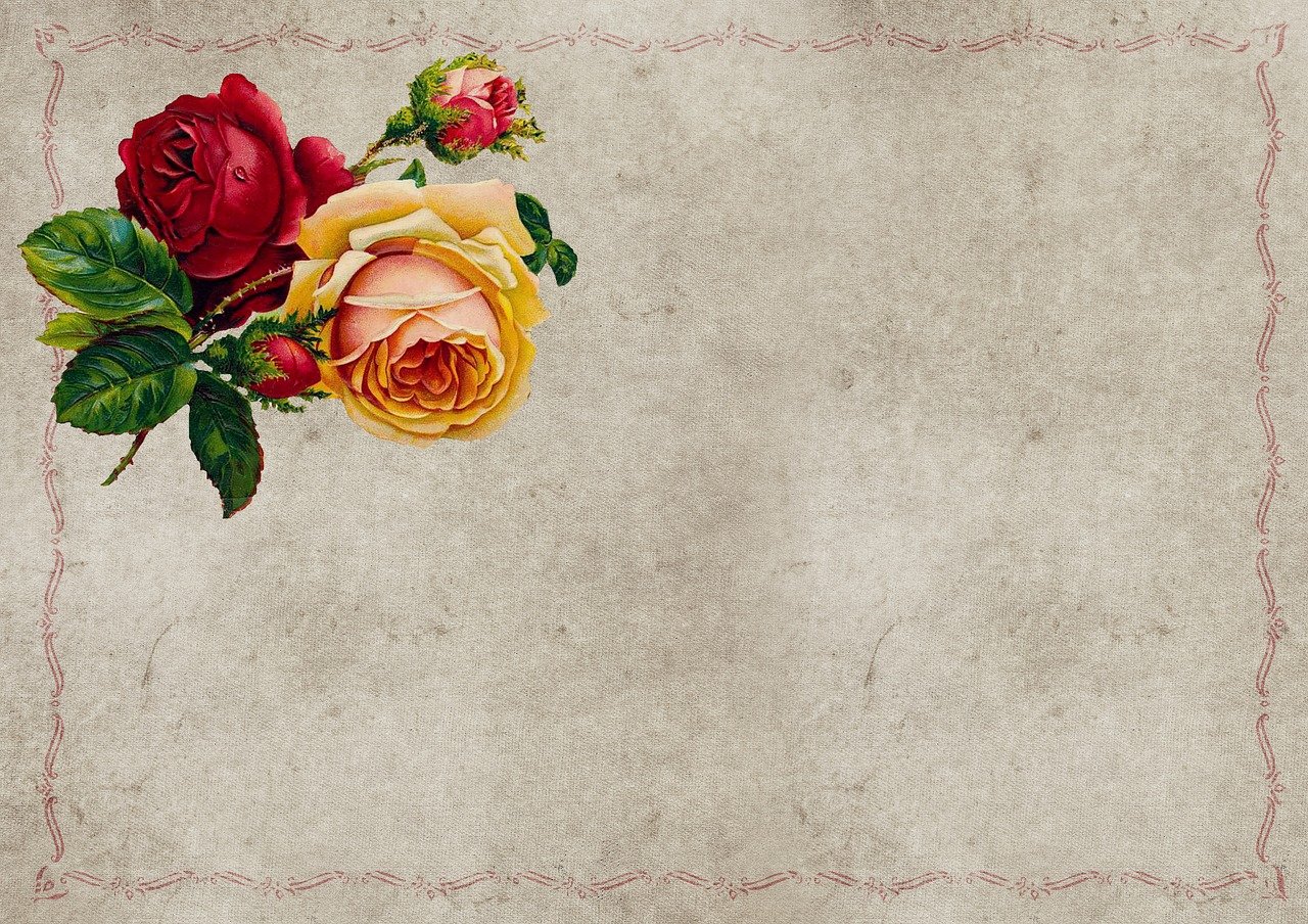 a couple of roses sitting on top of a piece of paper, by Cindy Wright, trending on pixabay, card back template, yellowing wallpaper, wide wide shot, yellow and red