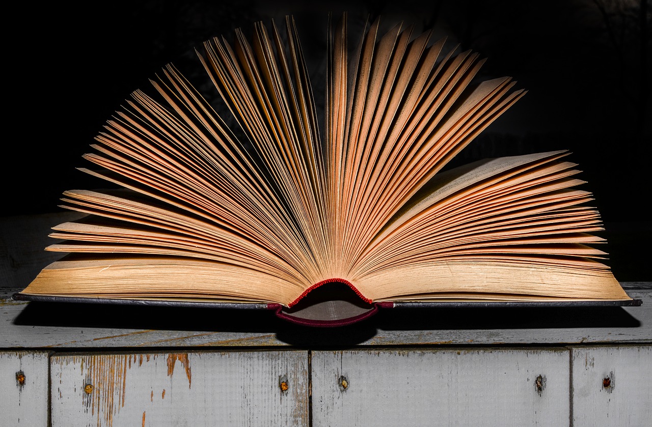 an open book sitting on top of a wooden table, by Dietmar Damerau, highlighted, nostalgic and euphoric, big opened book, local close up