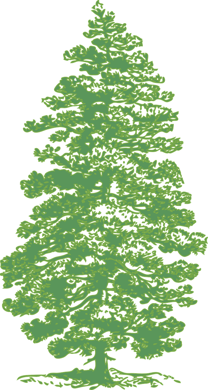 a green pine tree on a black background, a digital rendering, inspired by Masamitsu Ōta, reddit, generative art, zoomed out to show entire image, height map, osr, espoo