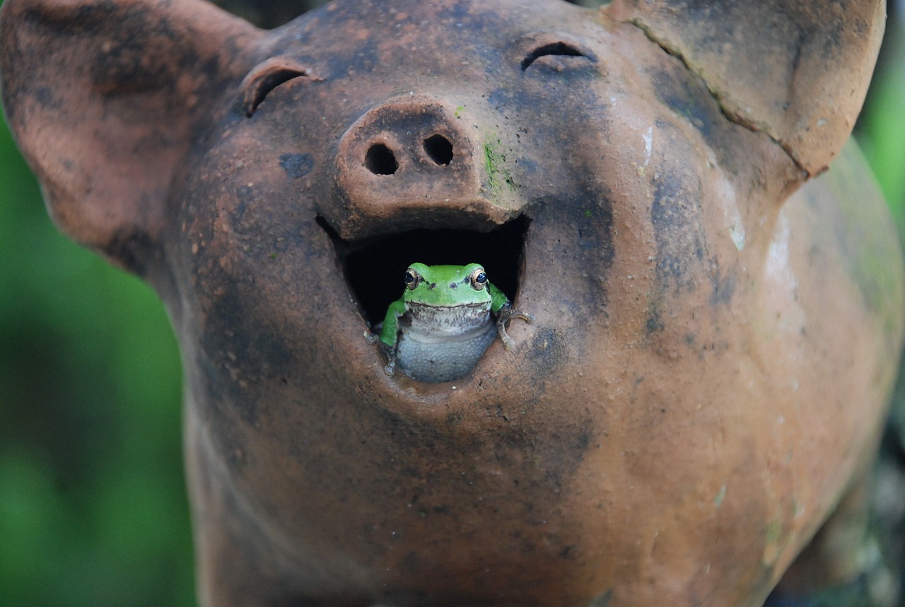a statue of a pig with a frog in it's mouth, by Robert Brackman, flickr, happy and smiling, raku, award-winning picture, cute frog