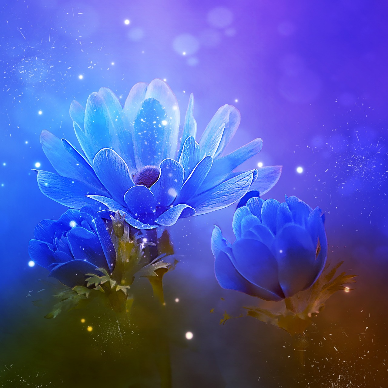 a couple of blue flowers sitting next to each other, by Marie Bashkirtseff, digital art, magical sparkling colored dust, magnolia, closeup photo, high quality fantasy stock photo