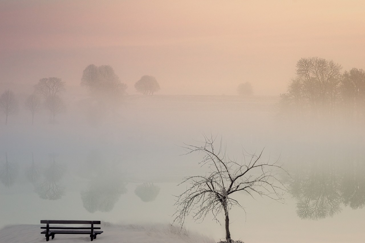 a bench sitting on top of a snow covered field, a picture, by Leon Chwistek, pexels contest winner, romanticism, in a misty pond, pink tree beside a large lake, light orange mist, in volumetric soft glowing mist
