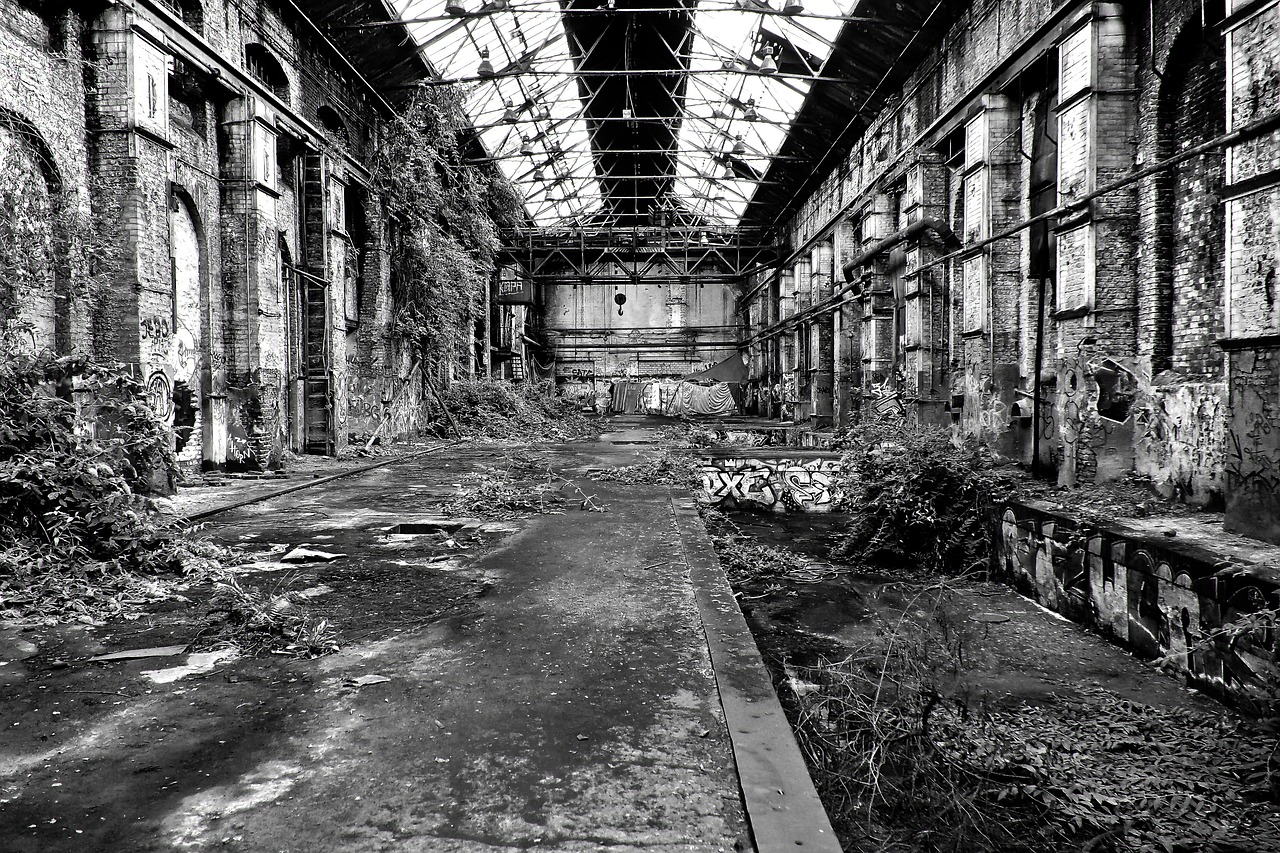 a black and white photo of an abandoned building, inspired by Thomas Struth, flickr, factories and nature, vast empty hall, densley overgrown with moss, * colour splash *