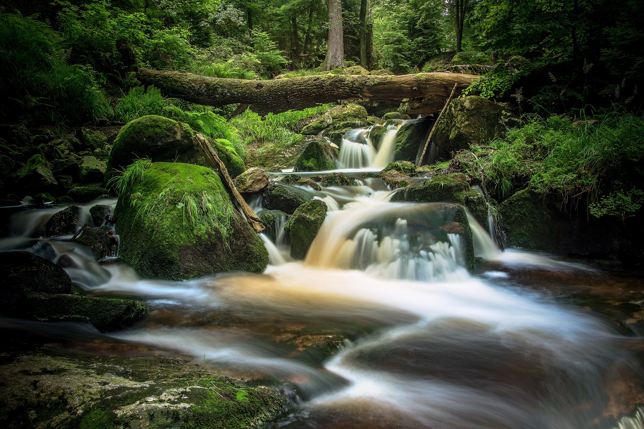 a stream running through a lush green forest, a picture, by Karl Hagedorn, shutterstock, long exposure photograph, forest plains of north yorkshire, waterfall cascades, professionally post-processed