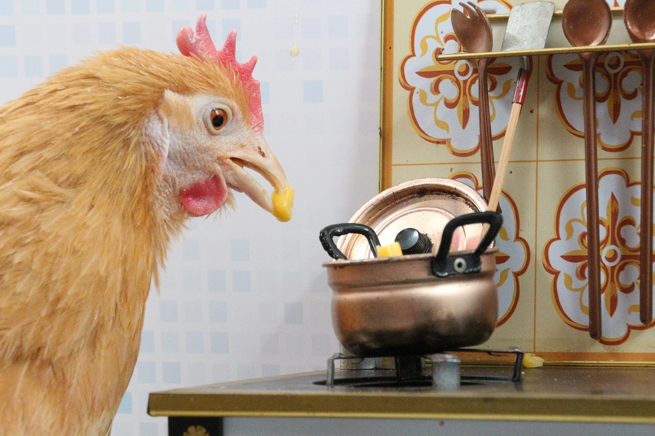 a chicken standing next to a pot on top of a stove, a picture, by Dietmar Damerau, flickr, photorealism, miniature photography closeup, scene from live action movie, shocked, 🦩🪐🐞👩🏻🦳