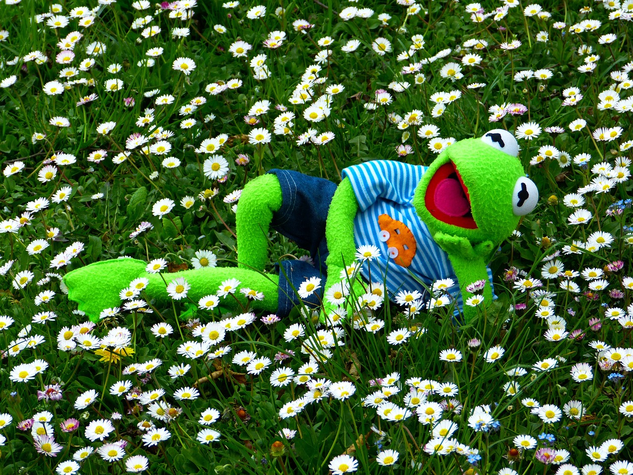 a stuffed animal laying in a field of daisies, by Werner Gutzeit, pixabay contest winner, portrait of kermit the frog, mr. bean depicted as a muppet, sprawled out, frogs