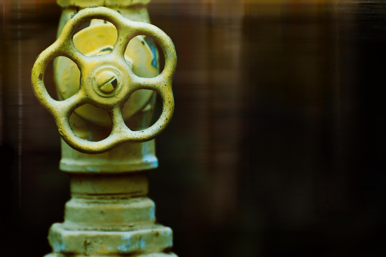 a close up of a yellow fire hydrant, inspired by Elsa Bleda, unsplash, renaissance, old copper pipes, orton effect intricate, family photo, cogwheel