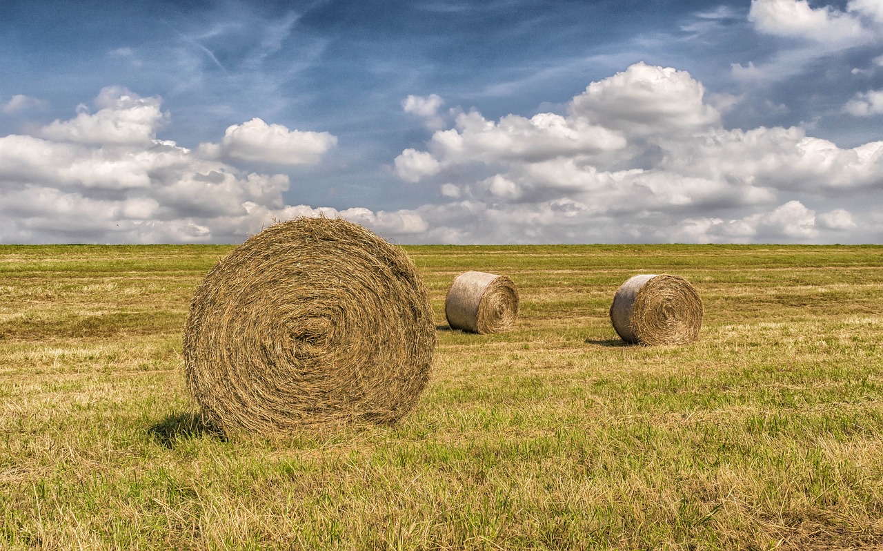 a couple of hay bales sitting in the middle of a field, flickr, digital art, round-cropped, avatar image, on a bright day, weather photography