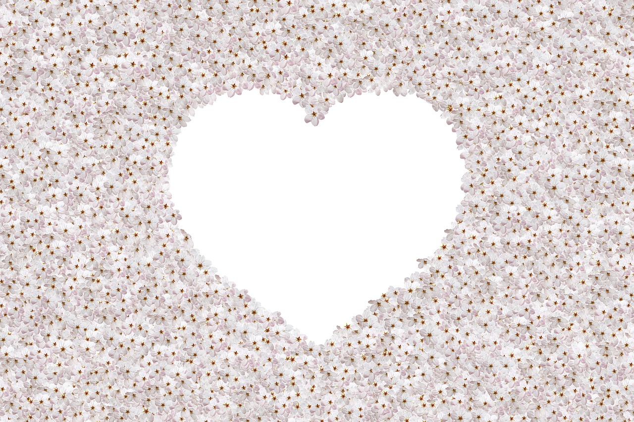 a white heart surrounded by small white flowers, a picture, by Ikuo Hirayama, pointillism, blank background, diamond and rose quartz, ballroom background, full res