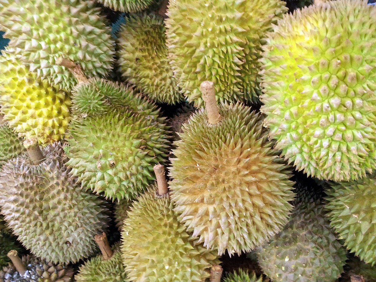 a pile of durian fruit sitting on top of a table, hurufiyya, very sharp photo, high quality product image”