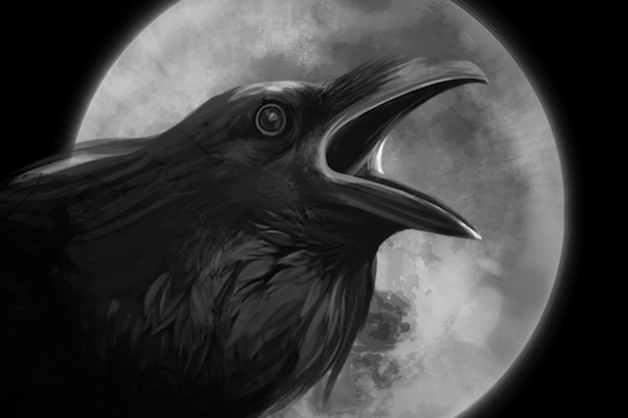 a black bird sitting in front of a full moon, a portrait, trending on deviantart, gothic art, rounded beak, screaming, full close-up portrait, 🦑 design