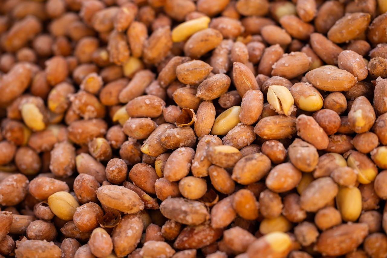 a pile of peanuts sitting on top of each other, a portrait, pexels, baked bean skin texture, avatar image, moroccan, peter konig