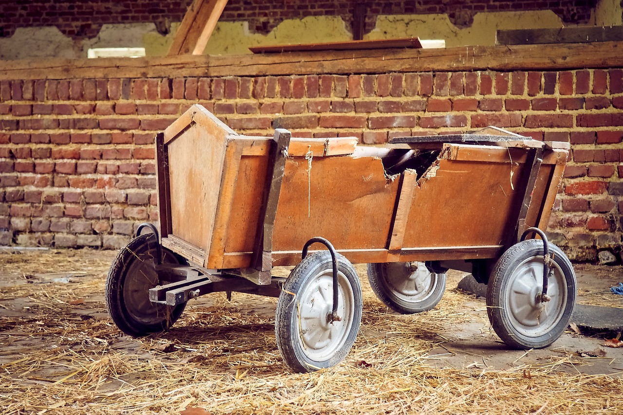 a cat sitting in a wagon next to a brick wall, shutterstock, in an abandoned barn, trailer, fine workmanship, set photo