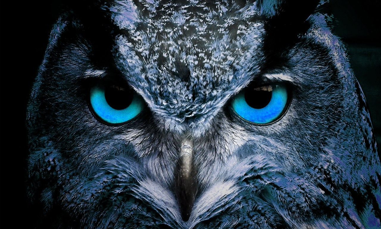 a close up of an owl with blue eyes, a portrait, by Zoran Mušič, trending on pixabay, an evil, avatar image, glowing blue face, an angry