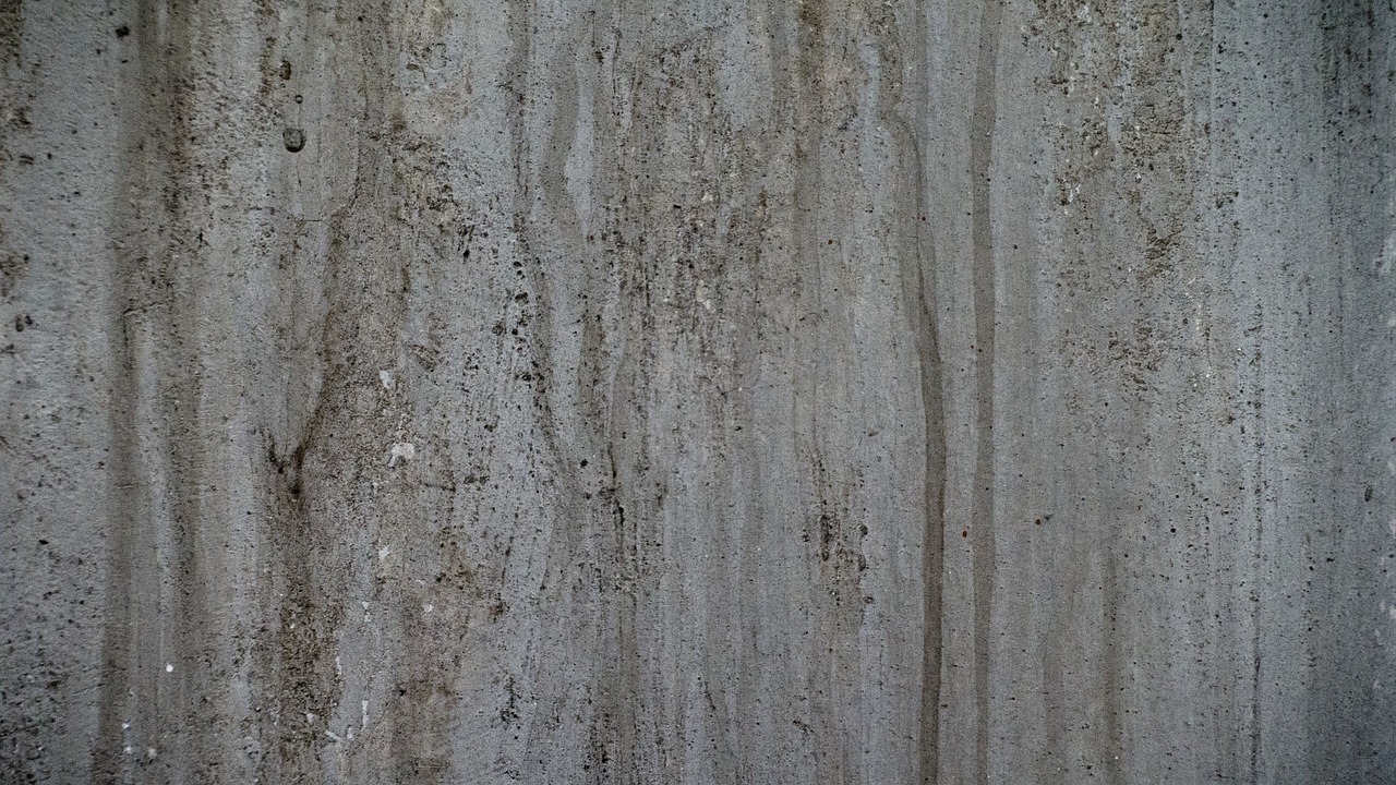 a fire hydrant in front of a concrete wall, a picture, by Richard Carline, floor texture, high detailed thin stalagtites, stone slab, gray skin. grunge