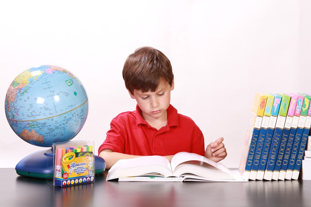 a young boy sitting at a table reading a book, educational supplies, expert, profile picture, attestation
