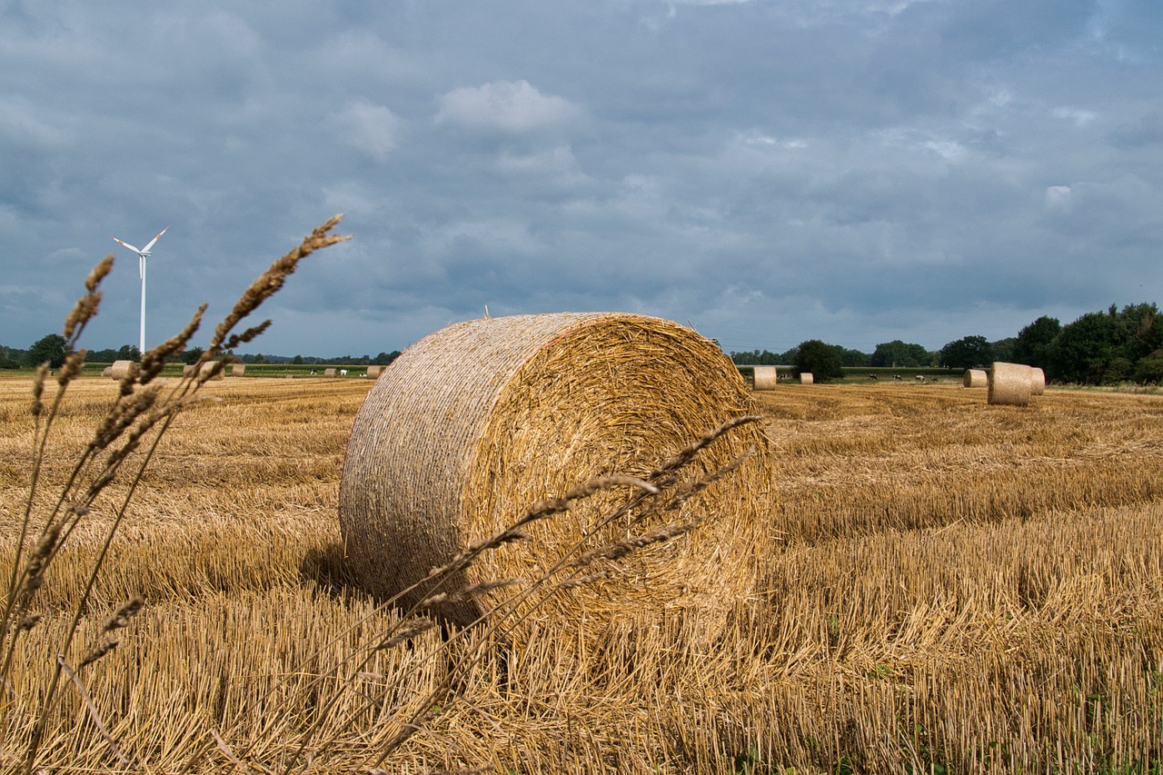 a hay field with a bale of hay in the foreground, a picture, flickr, northern france, modern high sharpness photo, stormy wheater, very accurate photo