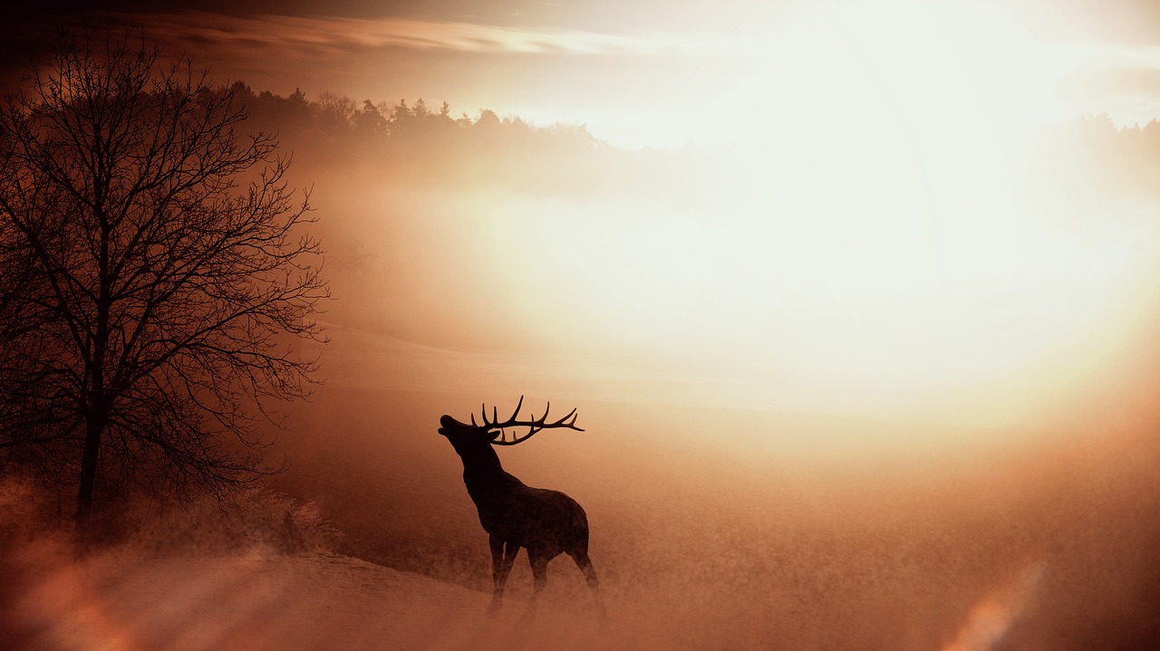 a deer that is standing in the grass, romanticism, red - toned mist, winter sun, singing, hannibal
