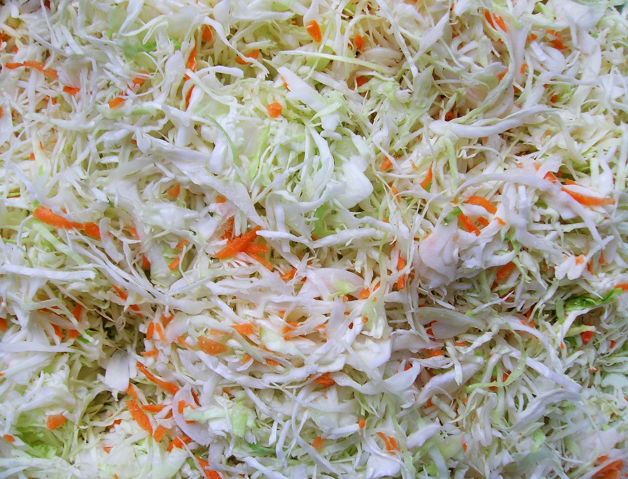 a close up of a salad with carrots and cabbage, hurufiyya, high quality product image”, siberia!!, very crispy, yoshida