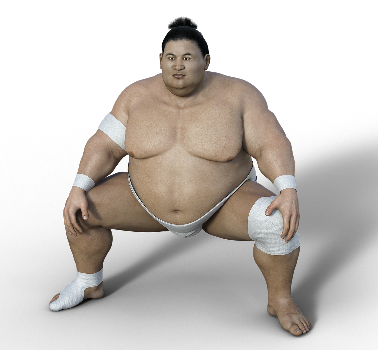 an image of a sumo wrestler posing for a picture, a 3D render, shin hanga, middle body shot, full body wide shot, fully body photo, kentaro miura style