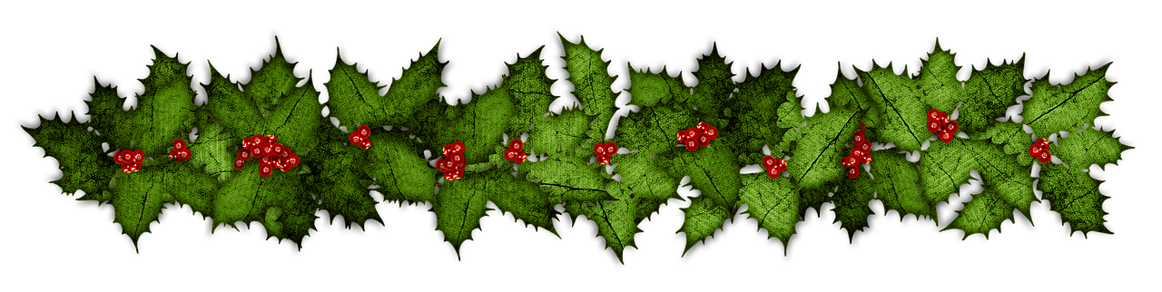 a group of red berries sitting on top of green leaves, a digital rendering, by Zoran Mušič, digital art, christmas night, rorsach path traced, bark, 2 0 1 0 photo