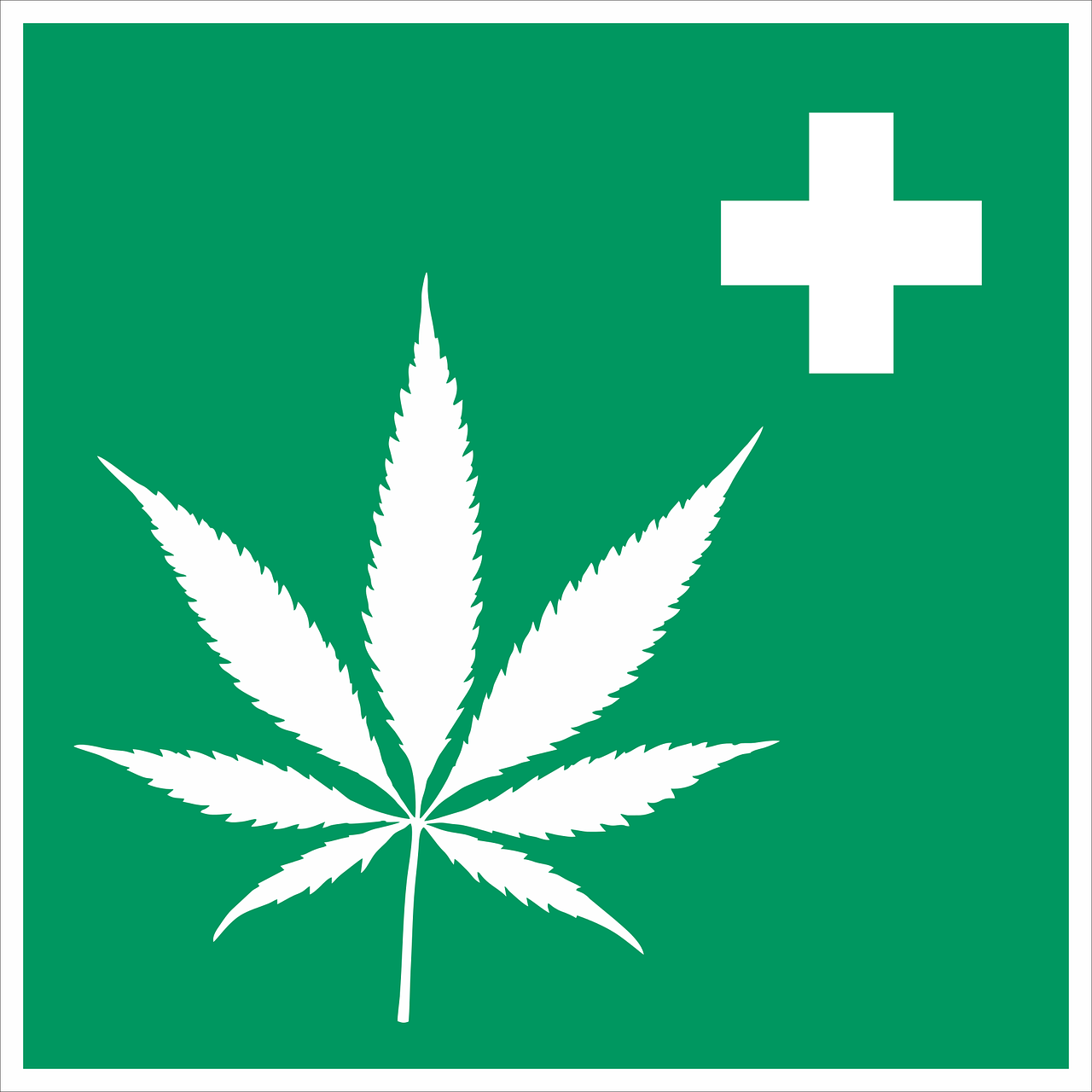 a medical sign with a marijuana leaf on it, shutterstock, hurufiyya, green square, emergency, worksafe. illustration