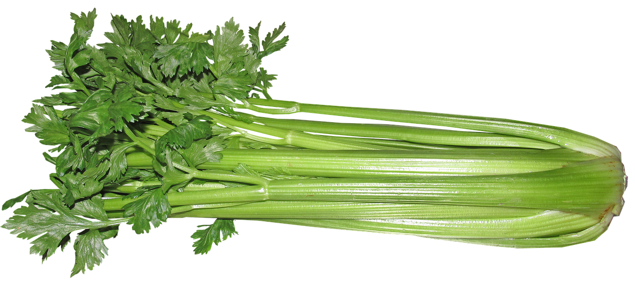 a bunch of celery sitting on top of a table, by Susan Heidi, hurufiyya, ( visually stunning, blade of grass, orthodox, on black background
