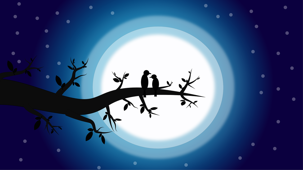 two birds sitting on a branch in front of a full moon, vector art, by Taiyō Matsumoto, romanticism, blue backlight, background image, marketing photo, moonlight through the trees