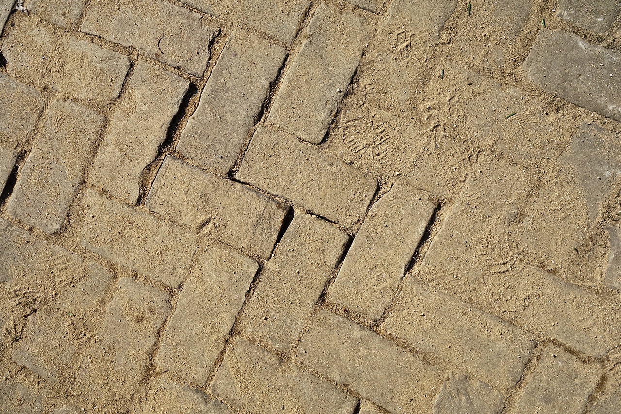 a close up of a brick floor with cracks in it, by Jan Kupecký, land art, muddy village square, loosely cross hatched, taken at golden hour, rectangles