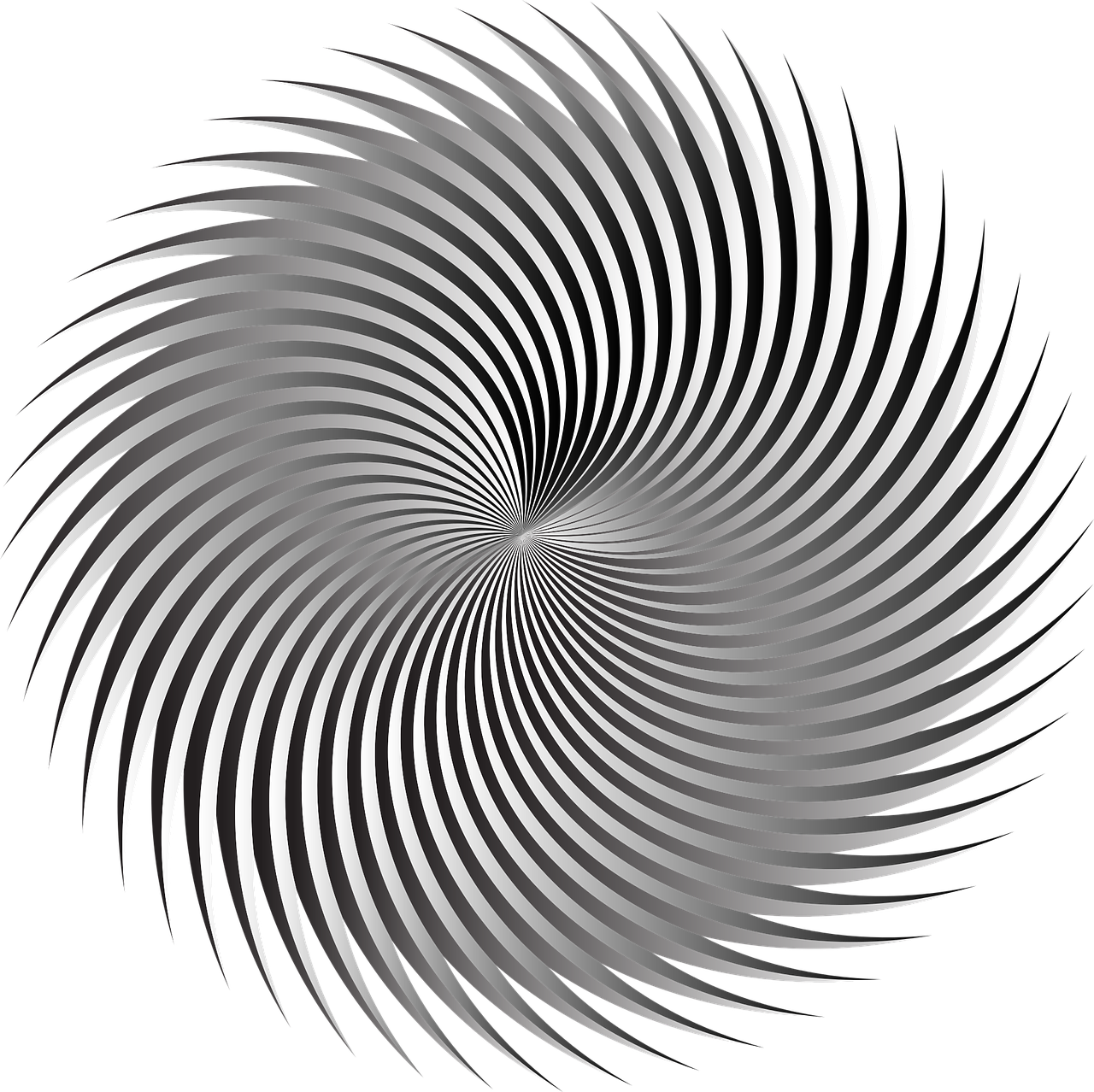 a spiral design on a black background, a raytraced image, inspired by Bridget Riley, abstract illusionism, gradient white to silver, spiky, silver eyes, smooth vector lines