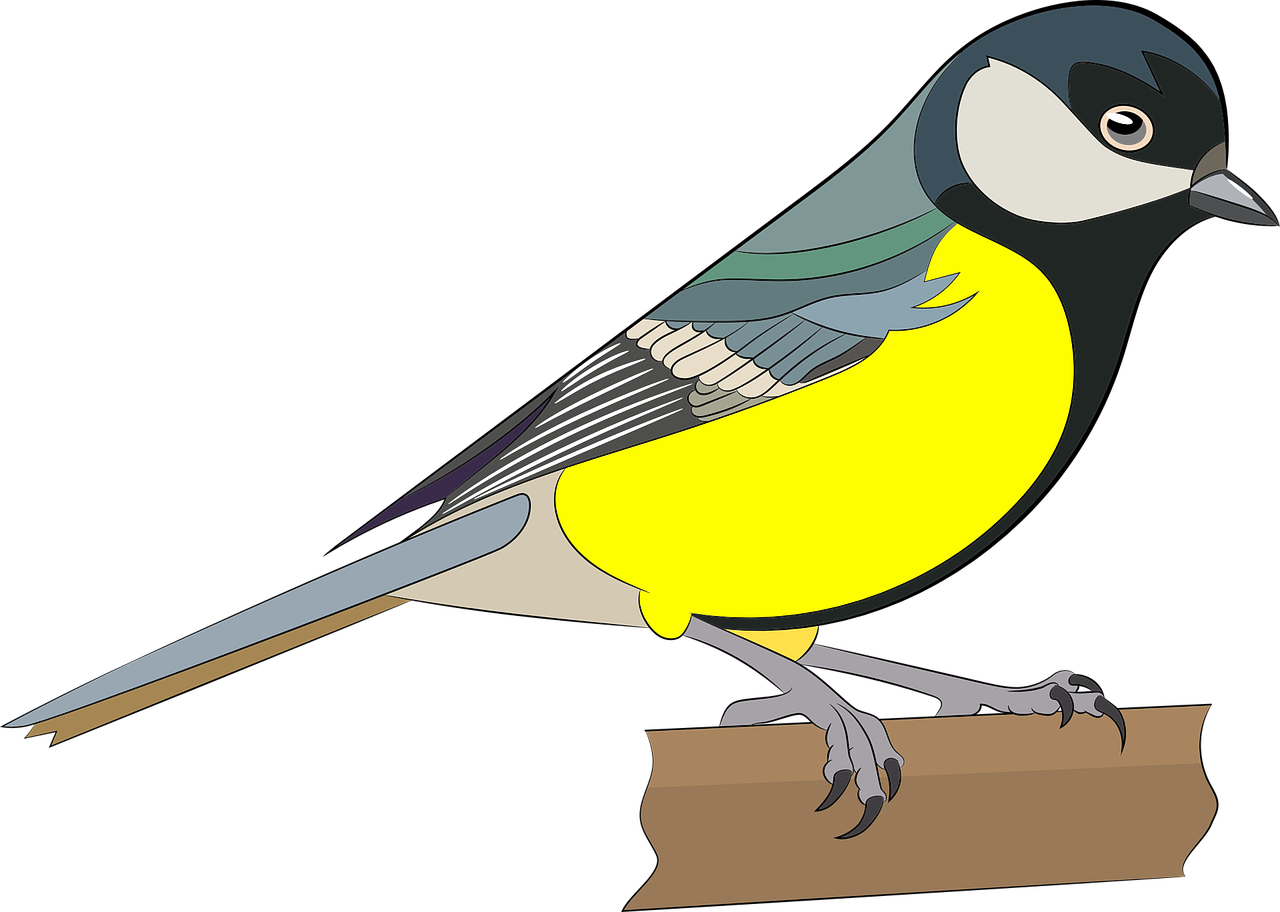 a bird sitting on top of a piece of wood, an illustration of, inspired by Josef Mánes, trending on pixabay, mingei, style of titmouse animation, wikihow illustration, beautiful black blue yellow, vector”