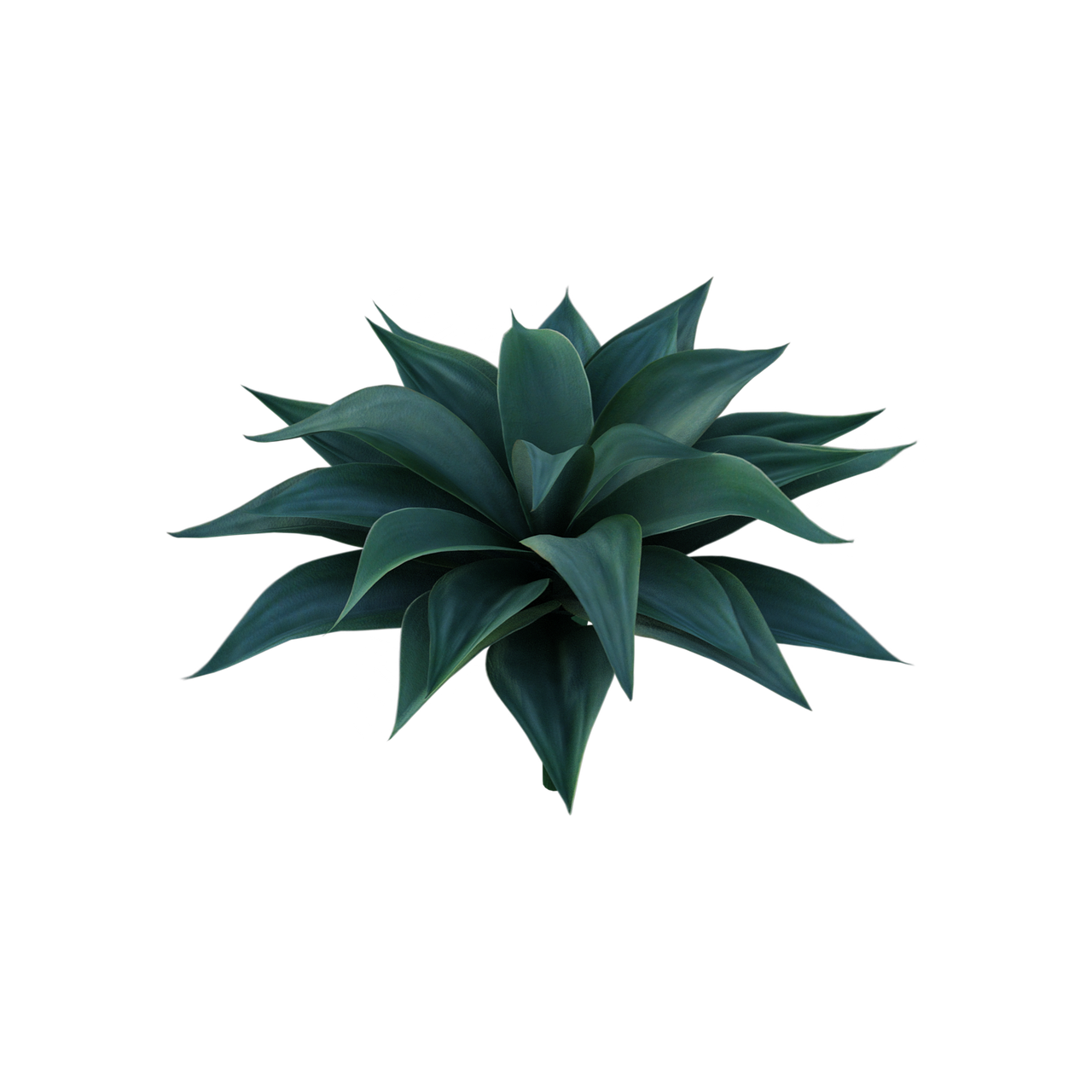 a close up of a plant on a black background, by Andrei Kolkoutine, polycount, isolated background, black blue green, bromeliads, close establishing shot