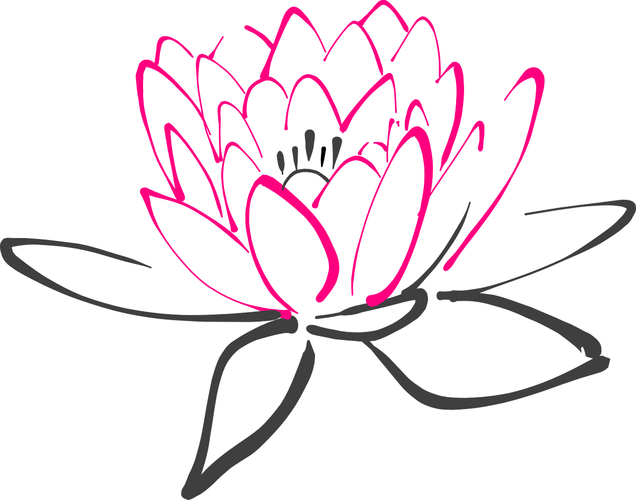 a pink lotus flower on a black background, inspired by Masamitsu Ōta, deviantart, sōsaku hanga, outlined!!!, screen cap, loosely cropped, cute looking