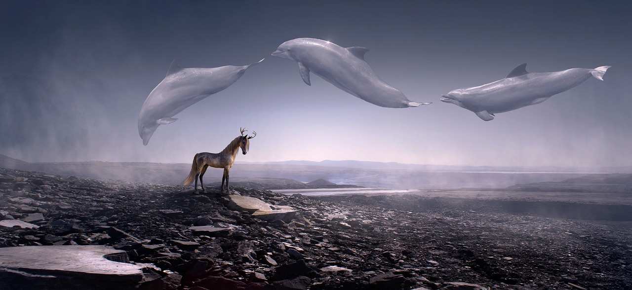 a giraffe standing on top of a rocky beach, a matte painting, shutterstock contest winner, surrealism, they are chasing a whale, horses, dolphins, 4 k photoshopped image