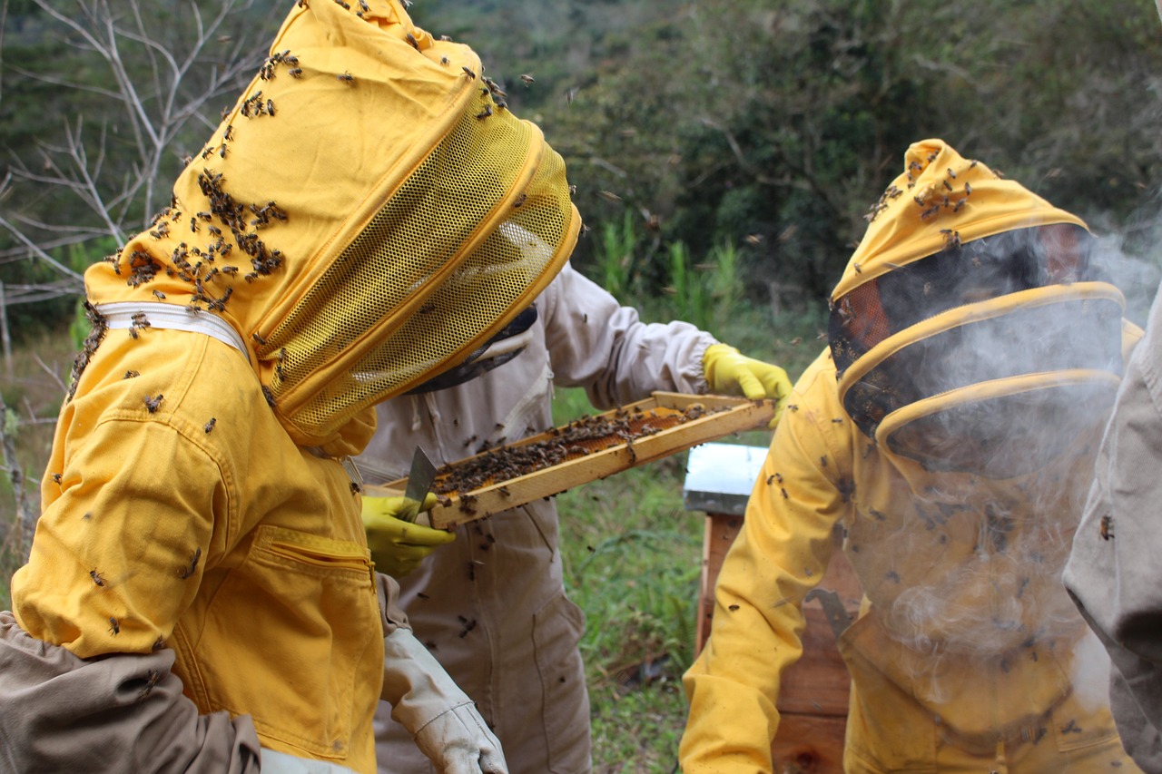 a group of bees that are standing in the grass, happening, colombian, wearing nanotech honeycomb robe, making of, artisan