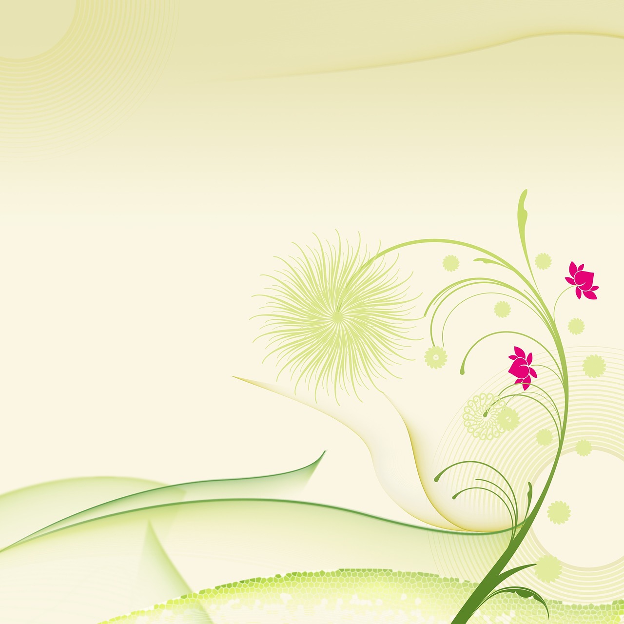 a close up of a flower on a white background, romanticism, vector background, swirling scene, draped in fleshy green and pink, yellow background