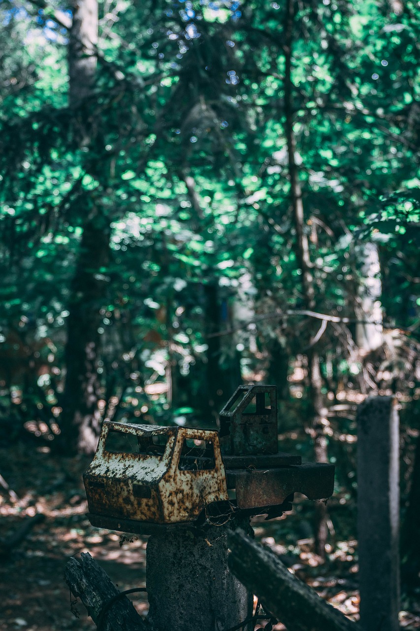 a rusted metal object in the middle of a forest, a tilt shift photo, unsplash, abandoned gas station, a green gold forest in japan, at a campfire in the forest, rusty meat machine