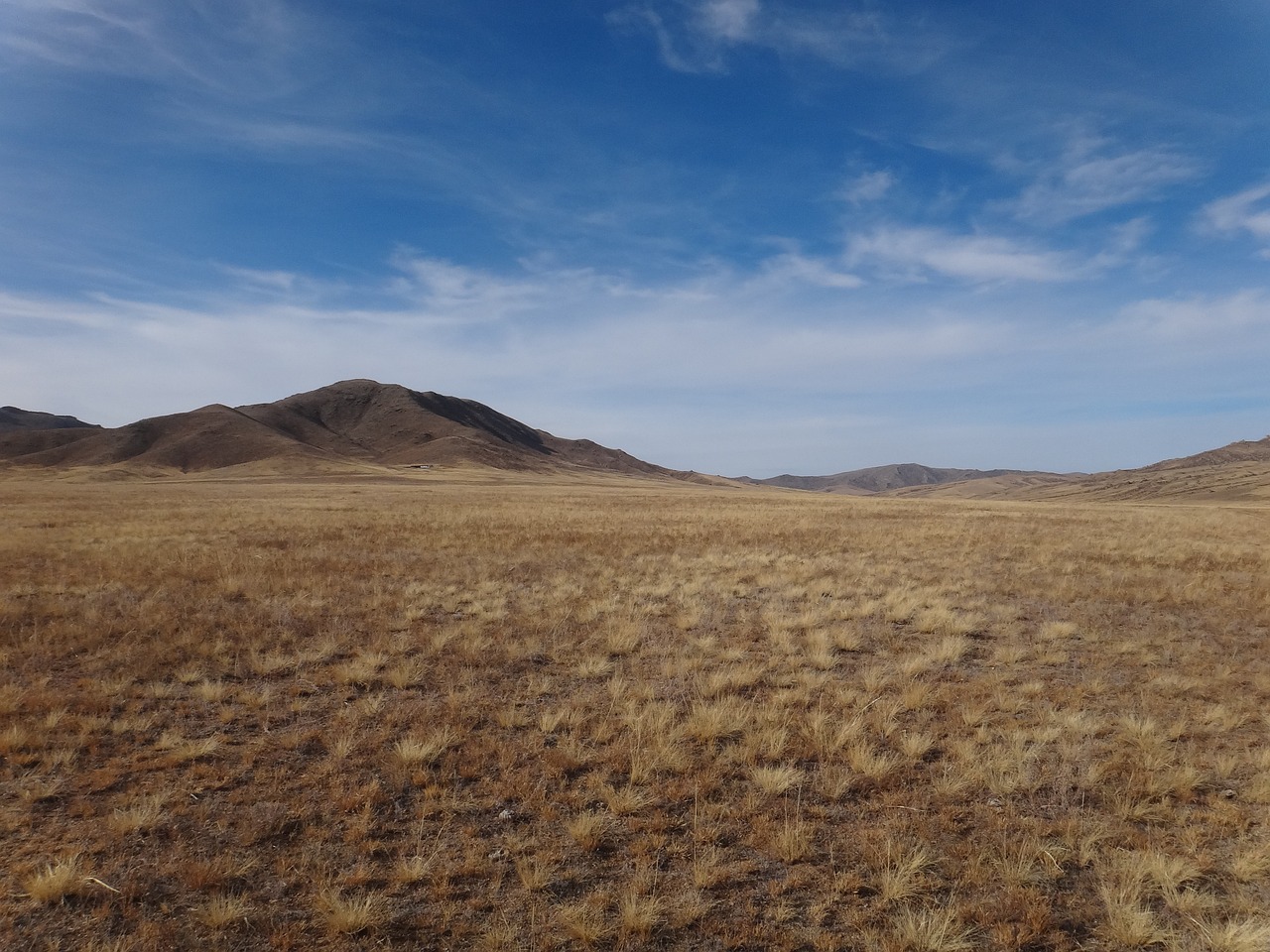 a field of dry grass with mountains in the background, vast expanse, big horn, no foliage, extremely clear and coherent