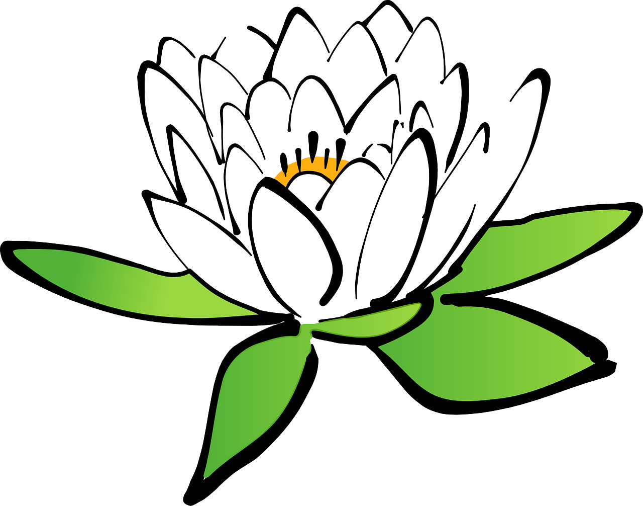 a lotus flower with green leaves on a black background, inspired by Masamitsu Ōta, hurufiyya, with black hair, black outlines, computer - generated, water lilies