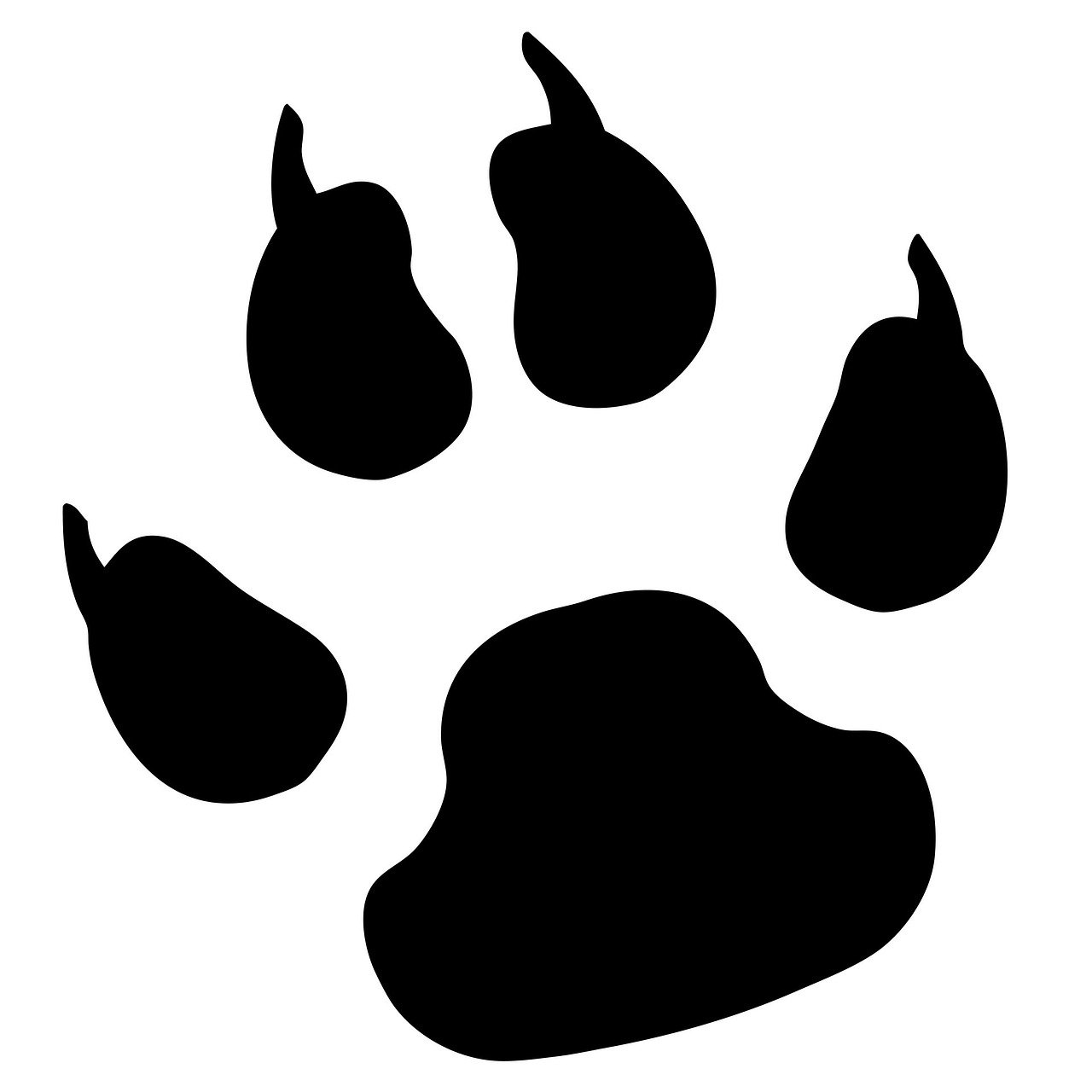 a black cat paw print on a white background, an illustration of, dada, pear, high res photo