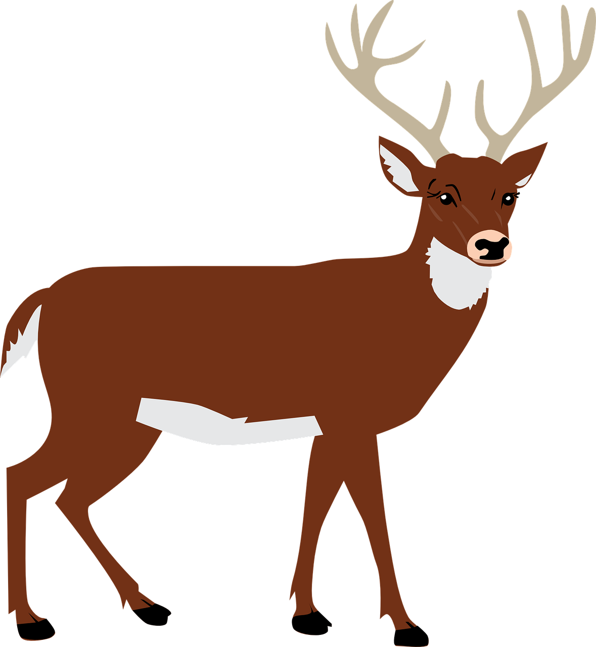a deer standing in front of a black background, inspired by Rudolph F. Ingerle, mingei, harry volk clip art style, :6, guys, looking left