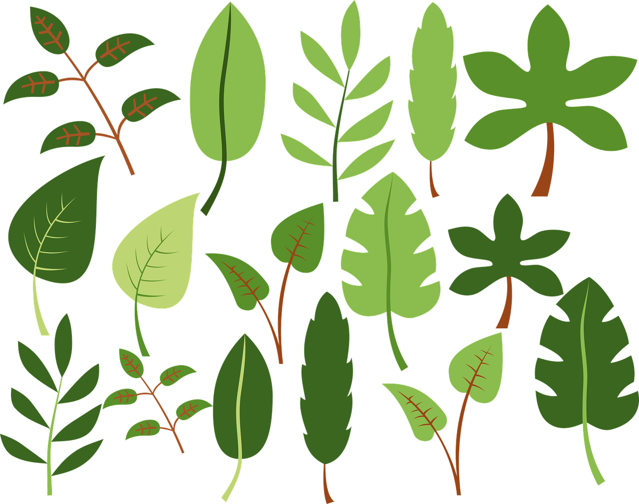 a bunch of green leaves on a black background, a screenshot, inspired by Masamitsu Ōta, trending on pixabay, hurufiyya, simple cartoon style, various items, harry volk clip art style, green and orange theme