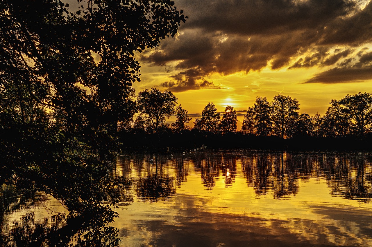 the sun is setting over a body of water, a picture, by Sebastian Spreng, pixabay, romanticism, shades of yellow, trees reflecting on the lake, today\'s featured photograph 4k, magical stormy reflections