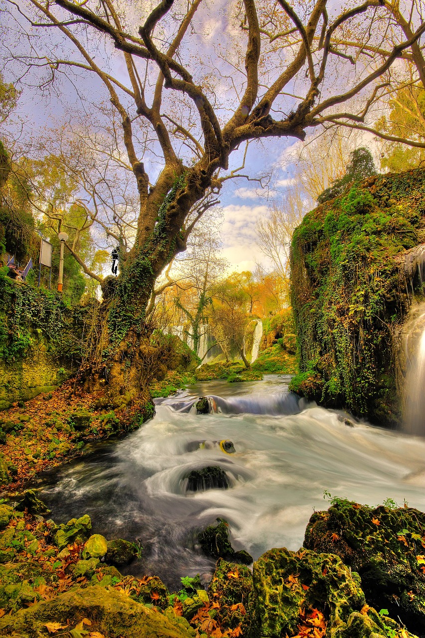 a waterfall flowing through a lush green forest, a picture, by Bogi Fabian, romanticism, ancient city of white stone, colorful hd picure, autumn, wide angle river