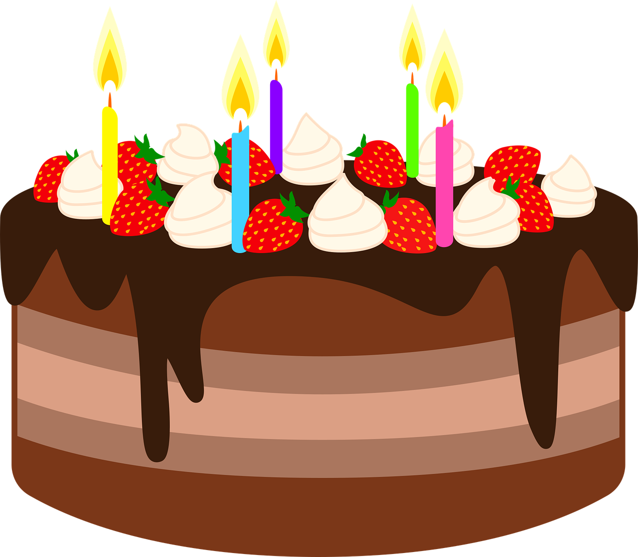 a chocolate cake with strawberries and candles, by Nishida Shun'ei, pixabay, figuration libre, no gradients, at a birthday party, 🐿🍸🍋, ( side ) profile