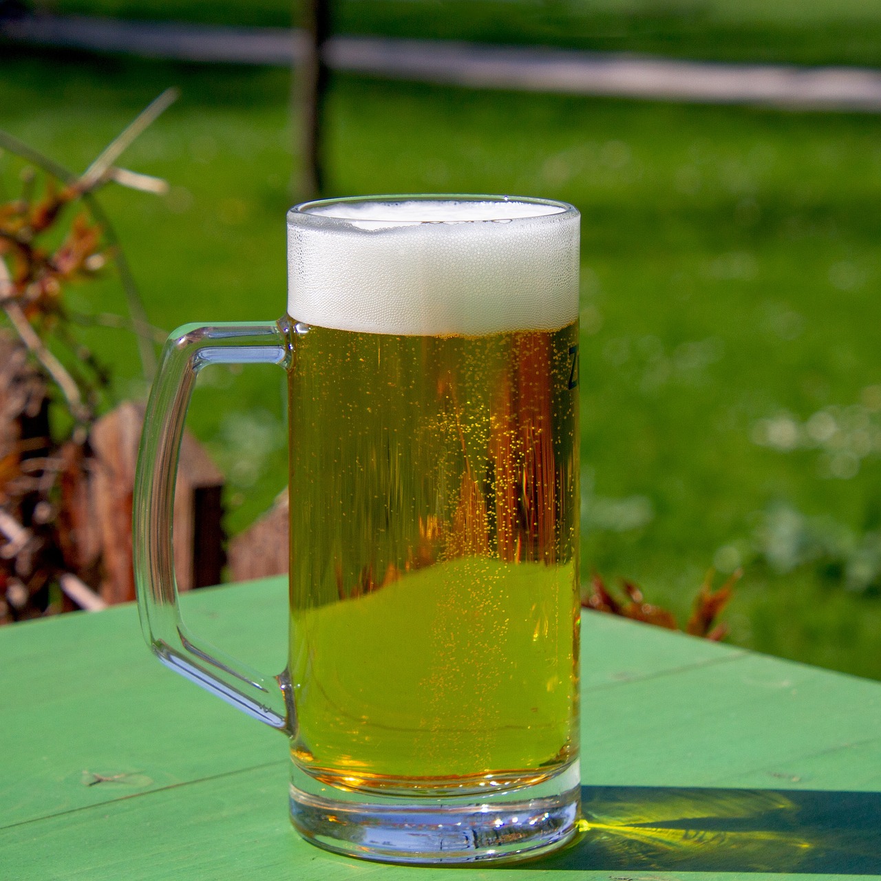 a glass of beer sitting on top of a green table, by Jan Rustem, bright sunny summer day, half - length photo, information, golden